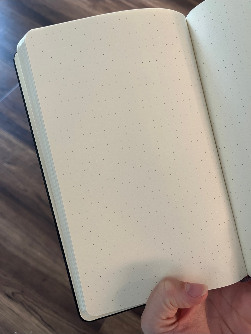 Brand New Moleskine Hardcover Classic Dotted Notebook in Black